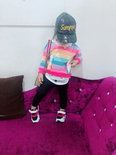 Set cầu vòng mèo