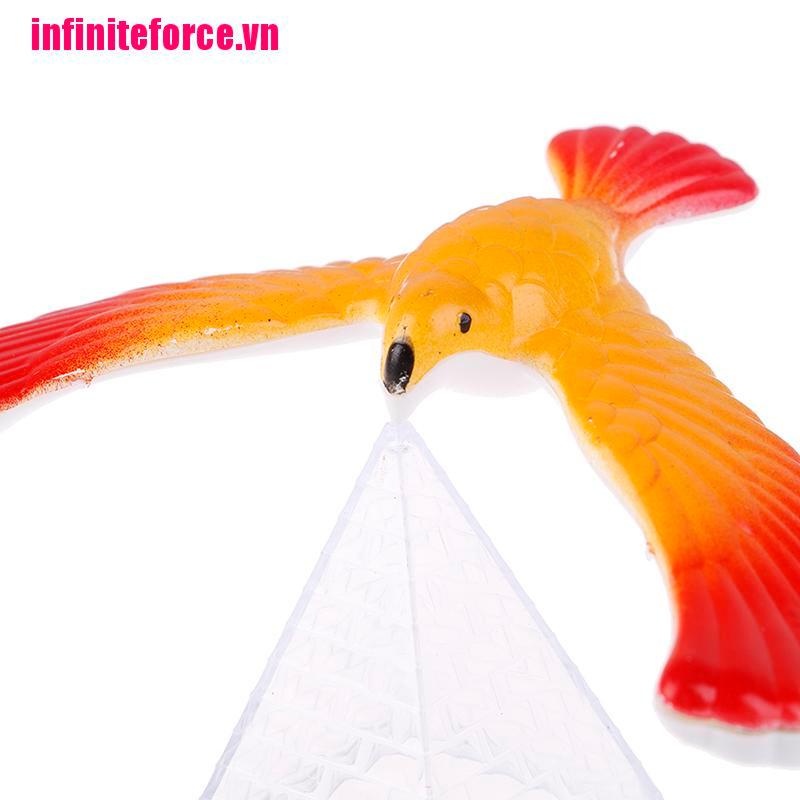 1 Bộ Đồ Chơi Hình Kim Tự Tháp Dành Cho Chim