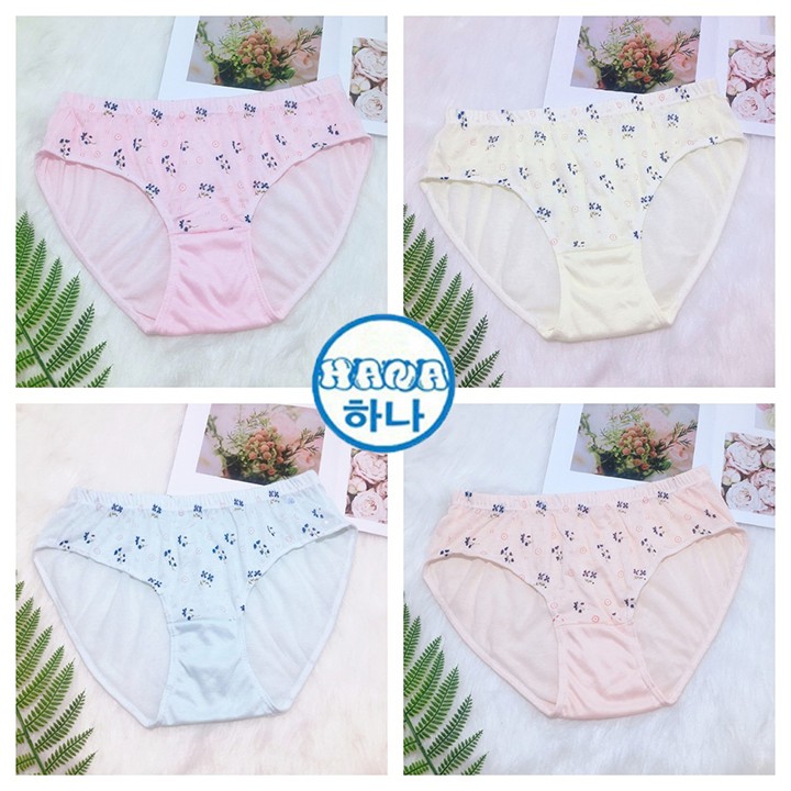 FREESHIP KÈM QUÀ Combo 5 Quần lót đẹp thun cotton mịn kháng khuẩn sợi tre bigsize size đại  nhiều màu sắc