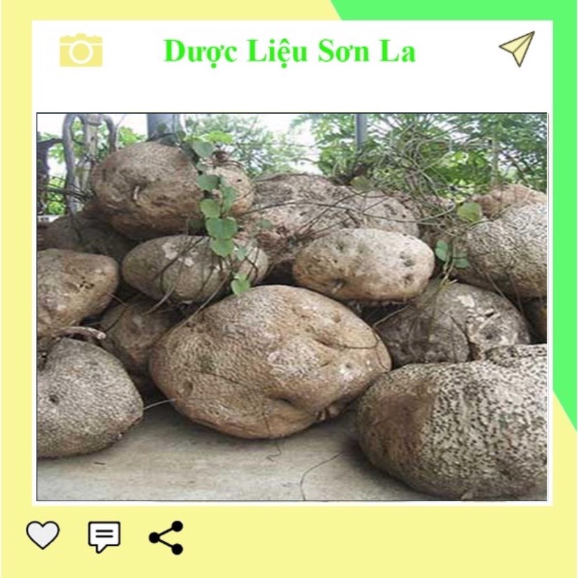Củ bình vôi tươi nguyên củ 1kg