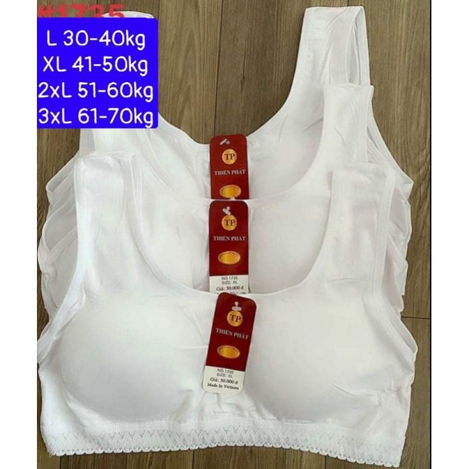 5 áo lá học sinh cấp 1 ,cấp 2 và người lớn chất cotton mịn mát