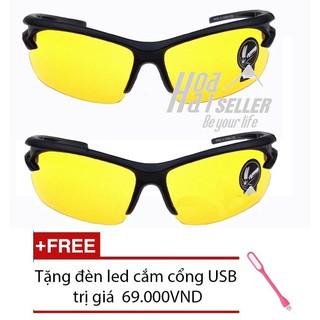 Bộ 2 Kính Phân Cực Nhìn Xuyên Đêm HoaHai kiểu Quân đội Mỹ + Tặng đèn led cắm cổng USB