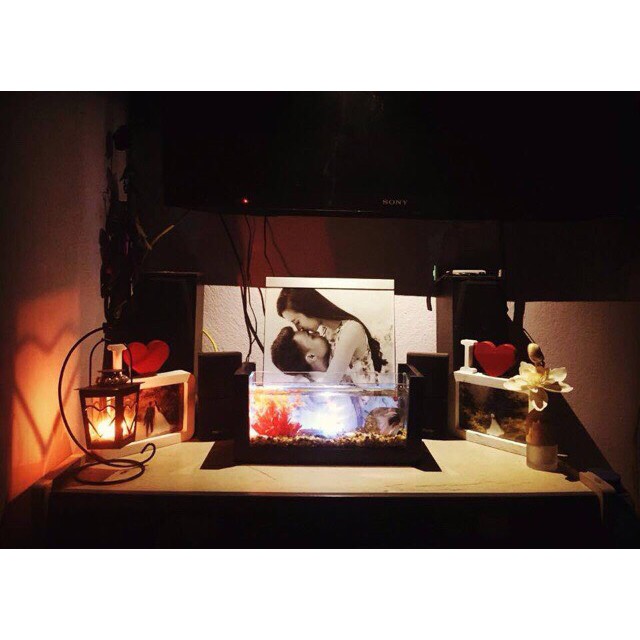 Bể cá mini khung gỗ Full combo