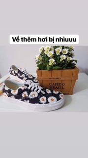 Giày Vans cúc họa mi