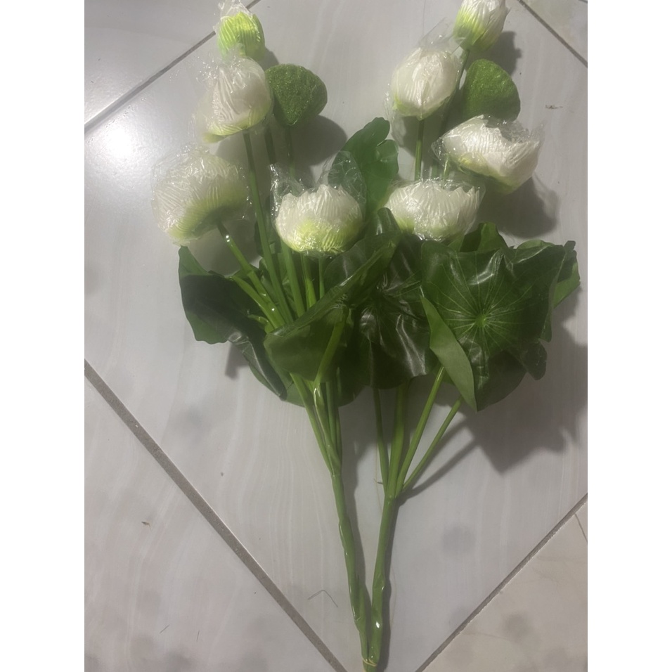 combo hoa sen lụa - hoa sen trang trí