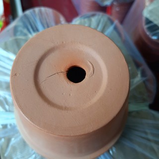 (Thanh lý) Chậu đất nung đỏ 10 x 9cm