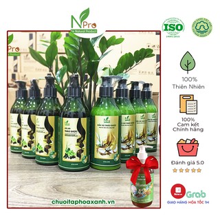 DẦU GỘI THẢO DƯỢC NPRO GIẢM TÓC GÃY RỤNG - TẶNG NƯỚC RỬA CHÉN 500ML