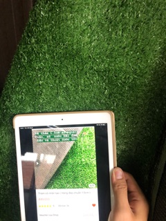 Thảm Cỏ Nhân Tạo 1.5cm ( 1 cây 50m2 )