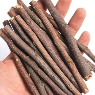 Cành táo mài răng cho Hamster, Sóc Bông, Sóc Đất, Sóc Bay Úc, Sóc Chuột...