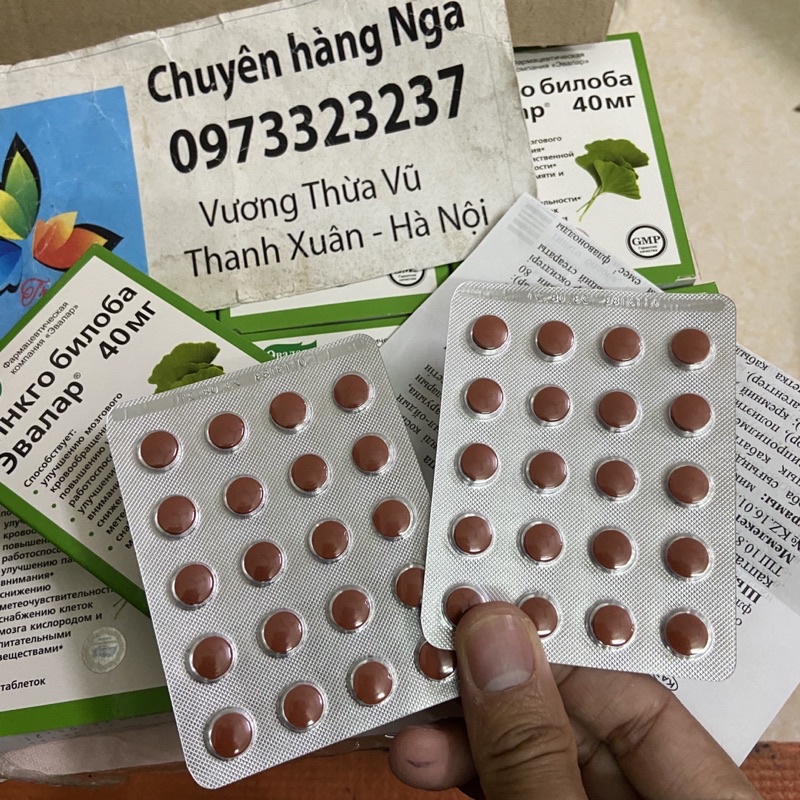 Bổ não Nga Ginkgo biloba nga 40 viên