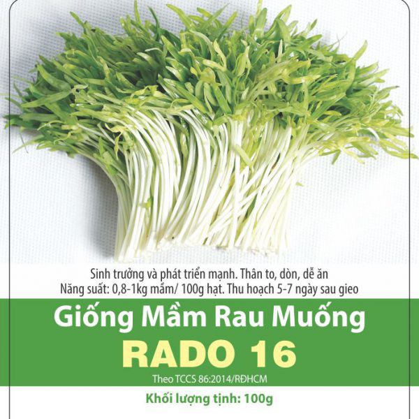 Hạt giống Mầm Rau Muống Dễ Trồng 100gr