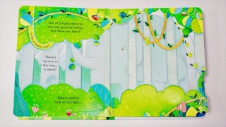 Sách Lật mở Peep Inside The Jungle Usborne