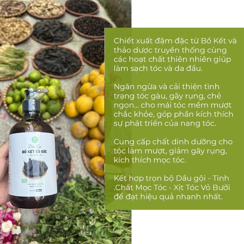 Dầu gội bồ kết Thảo Dược Xanh handamde giảm gàu, nấm ngứa, rụng tóc