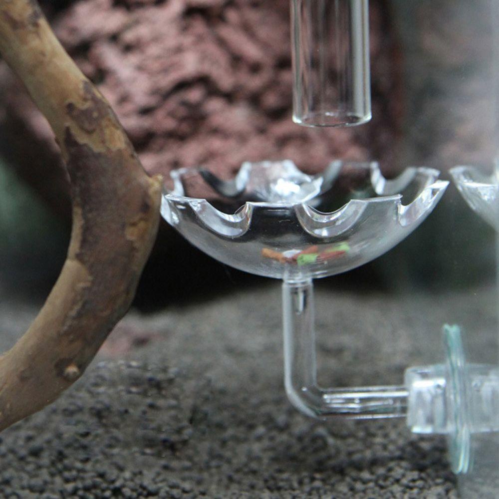 Khay Đựng Thức Ăn Cho Cá Ăn Không Độc Hại Kèm Cốc Hút Tiện Dụng