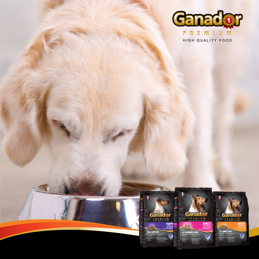 Thức ăn cho chó trưởng thành Ganador Adult (cừu và gạo) 400g x 50 gói