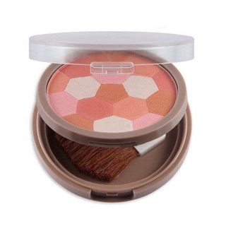 Phấn má odbo riotous powder