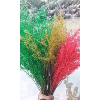 100G HOA SAO TÍM KHÔ