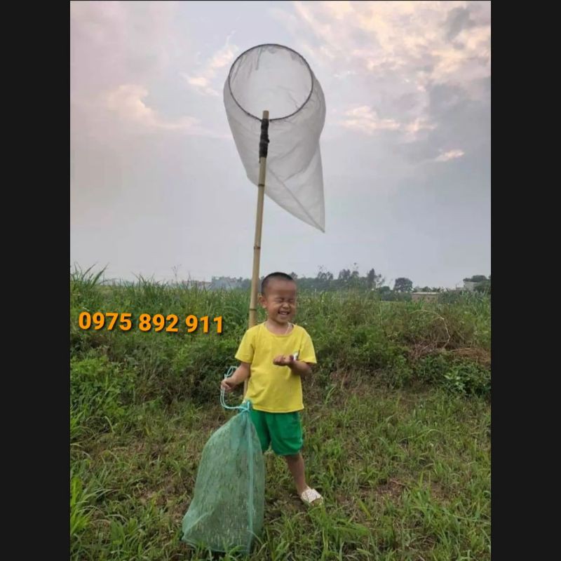VỢT CÀO CÀO - CHO CHIM CẢNH ĂN