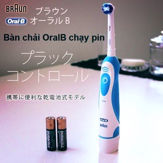 Combo 2 bàn chải braun Nhật và set 4 đầu bàn chải thay thế