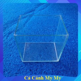 Keo betta drc 15x10x15 | hồ show cá kính 3li