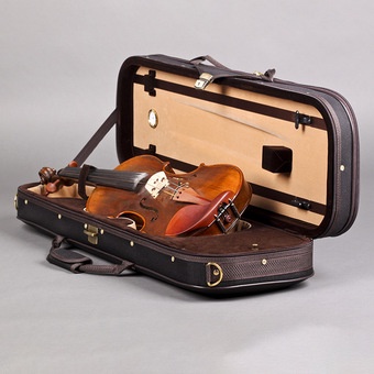 Đàn Violin Antonio Stradivarius Luxury L2