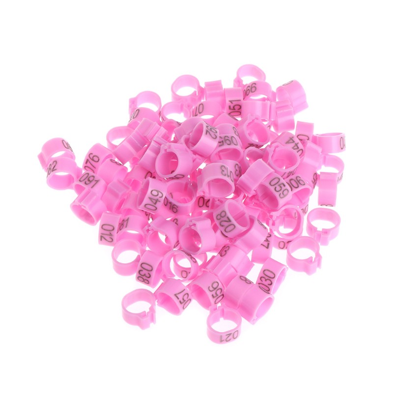 Bộ 100 vòng phân loại gắn chân chim bồ câu 10mm