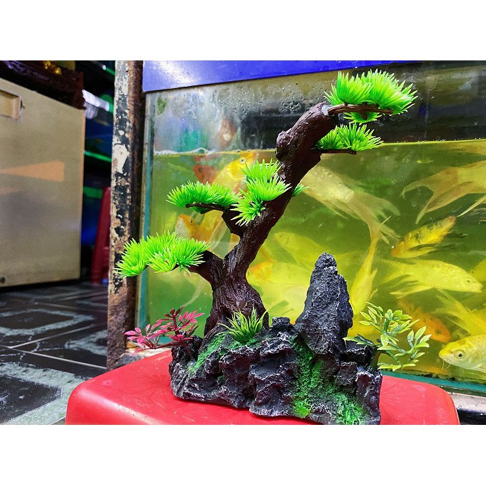 TIỂU CẢNH TRANG TRÍ HỒ CÁ NON BỘ 16X5X21CM