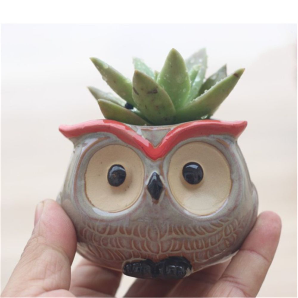 Chậu Cây Bằng Gốm Hình Chim Cú Dễ Thương Trang Trí Nhà Cửa