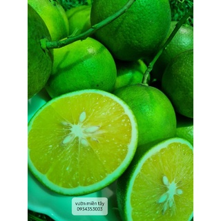 Cam xoàn miền tây