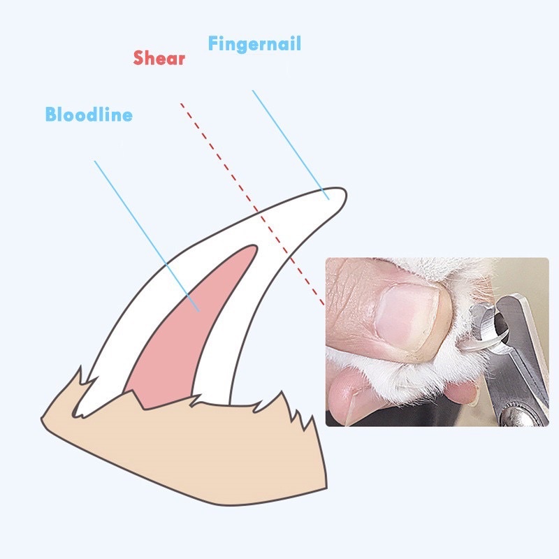 Bộ kìm dũa bấm móng thú cưng cho chó mèo