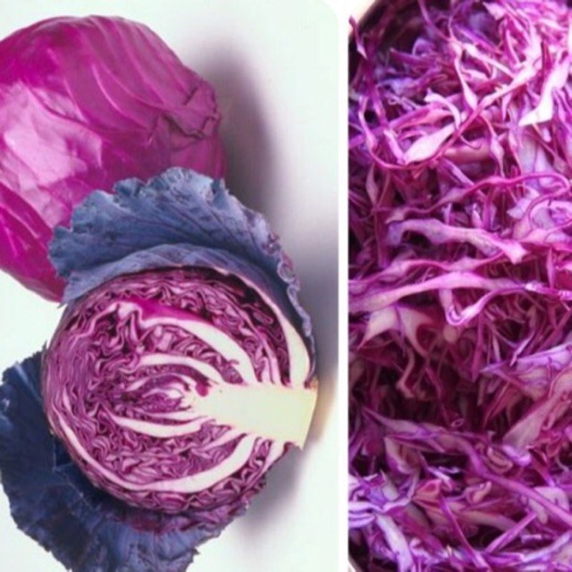 Hạt giống Bắp cải cuộn tím, Bắp cải cuộn xanh F1 - Cải thảo Dược bắp cuộn