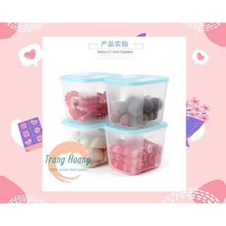 Set 4 hộp trữ đông 1,2 L Tupperware