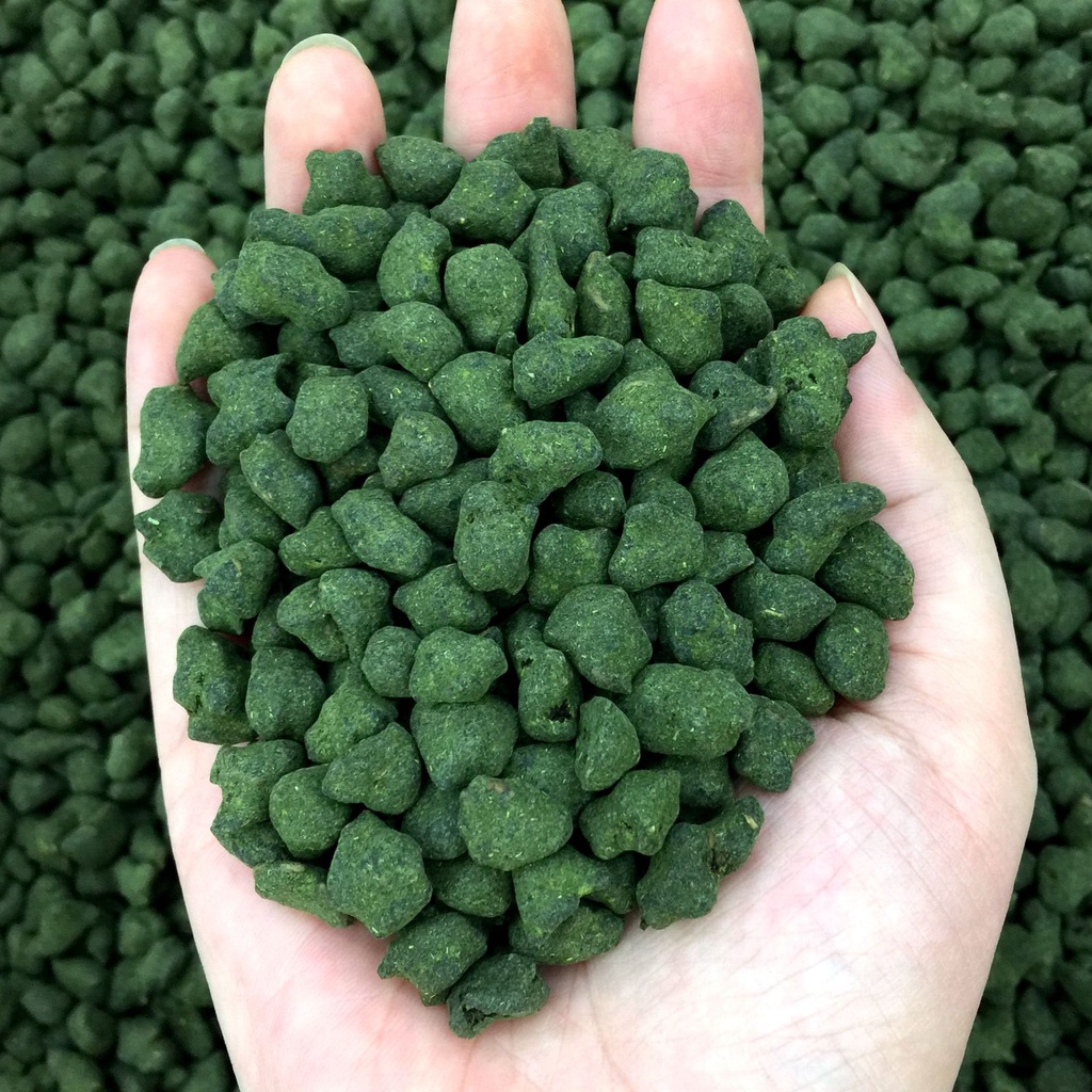 Ô LONG NHÂN SÂM   #olongnhansam #olong