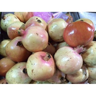 Cây lựu trắng