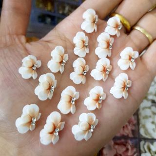 Hoa bột, hoa cúc( gạt ảnh chọn màu)