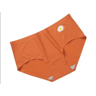 Combo 10 quần đúc hình cúc hoạ mi