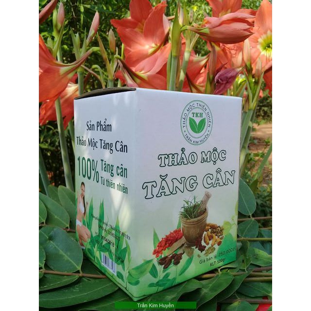 Thảo Mộc Tăng Cân