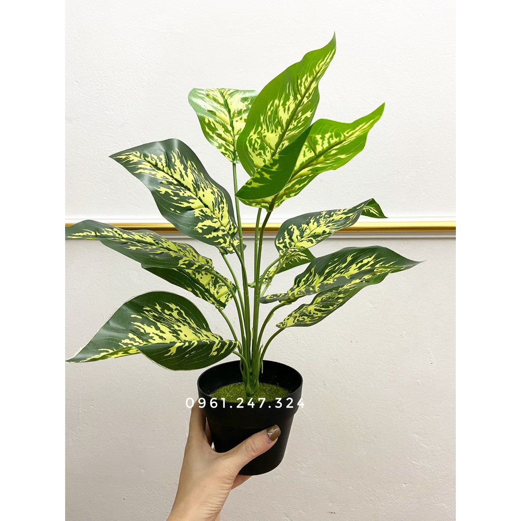 cây giả - cây ngọc ngân 40cm