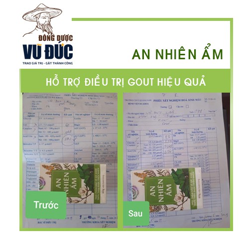 AN NHIÊN ẨM: Giảm Gan Nhiễn Mỡ, Máu Nhiễm Mỡ, Men Gan Cao, Guot, Thải Độc, Đông Dược Vũ Đức. | BigBuy360 - bigbuy360.vn