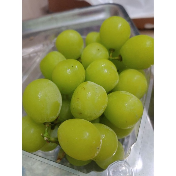 Nho Mẫu Đơn Shine Muscat Vip Siêu Ngon Ngọt Thơm (Đóng Hộp 500g)