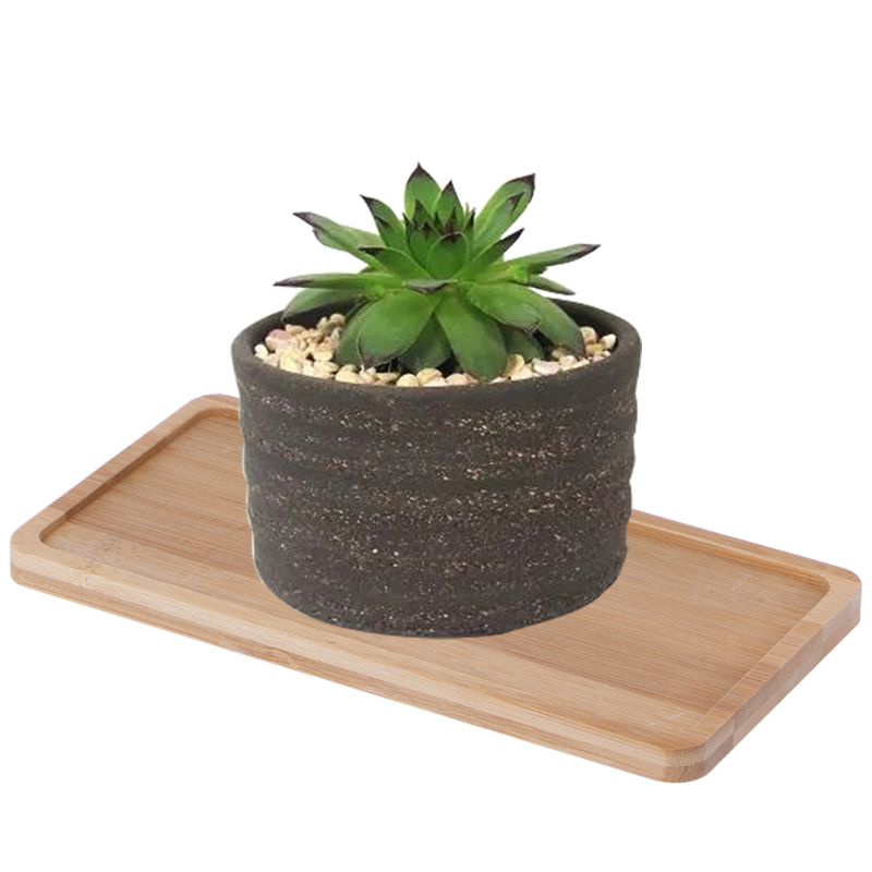 Khay Đựng Chậu Hoa Bonsai Bằng Tre Đơn Giản Trang Trí Nhà Cửa