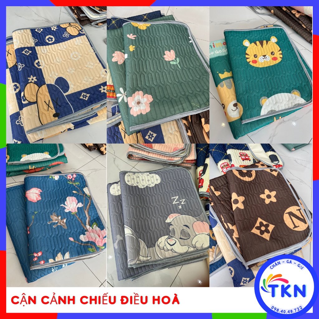 [Xả kho] Chiếu Điều Hoà Cao Su Non 3D Tencel Mát Lạnh Loại 1 Giá Rẻ (tặng kèm 2 vỏ gối đầu)