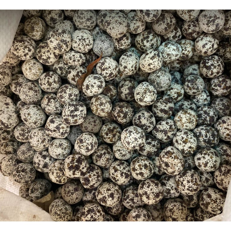 Sứ Bi Muối Tiêu 100Gr