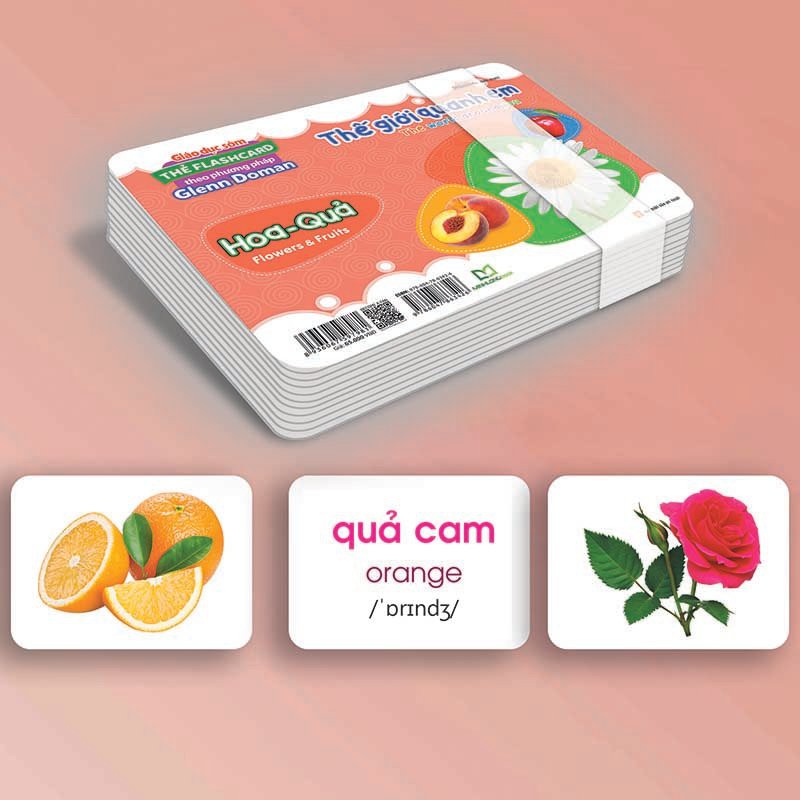 Sách - Hộp Thẻ Flashcard Theo Phương Pháp Glenn Doman - Thế Giới Quanh Em