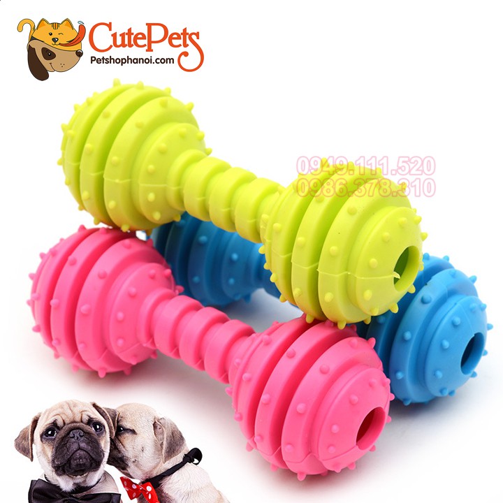 Đồ chơi cao su gắn chuông hình quả tạ gai cho chó - CutePets Phụ kiện chó mèo Pet shop Hà Nội