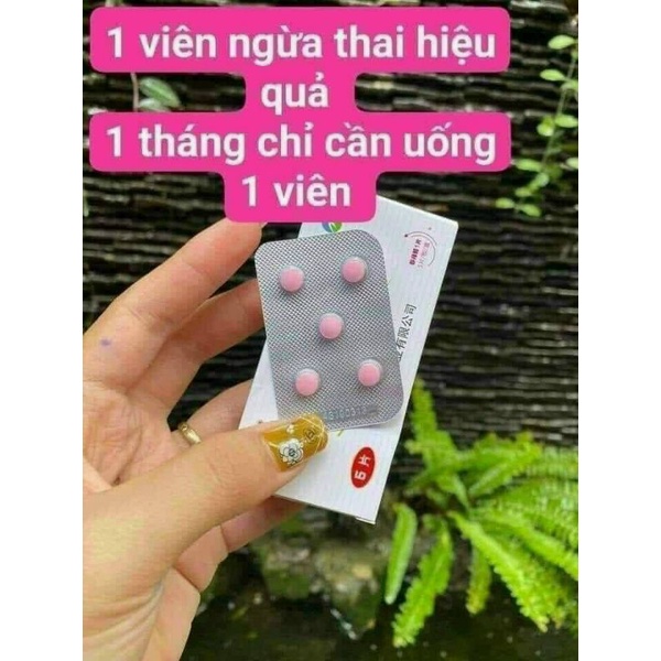 Combo khách đặt 2h