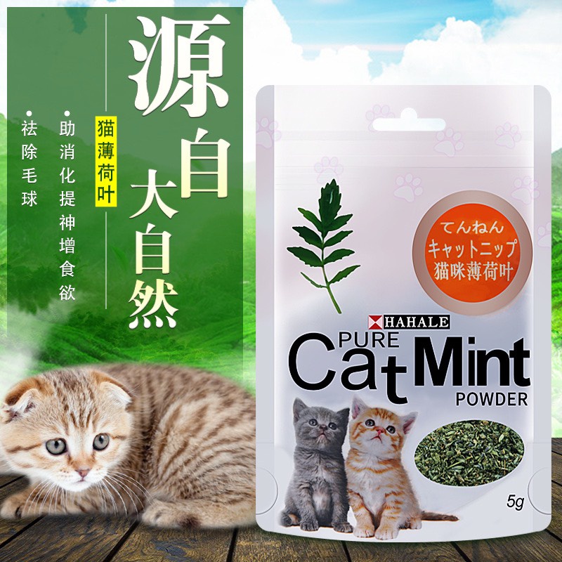 Cỏ Bạc Hà Catnip dành cho mèo (gói 5gr)