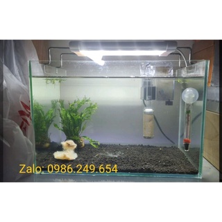 Bể cá mini (d30*r20*c20)