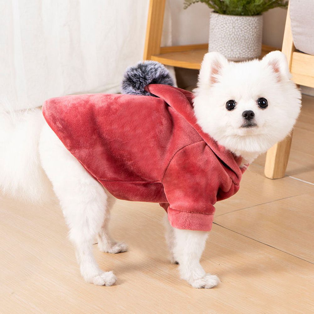 MIQUEL Áo khoác cotton có mũ trùm đầu mềm mại giữ ấm mùa đông cho thú cưng chó mèo cỡ nhỏ trung bình