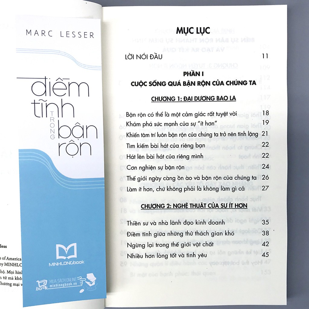 Sách - Điềm Tĩnh Trong Bận Rộn - Ít Hơn Hiệu Quả Hơn